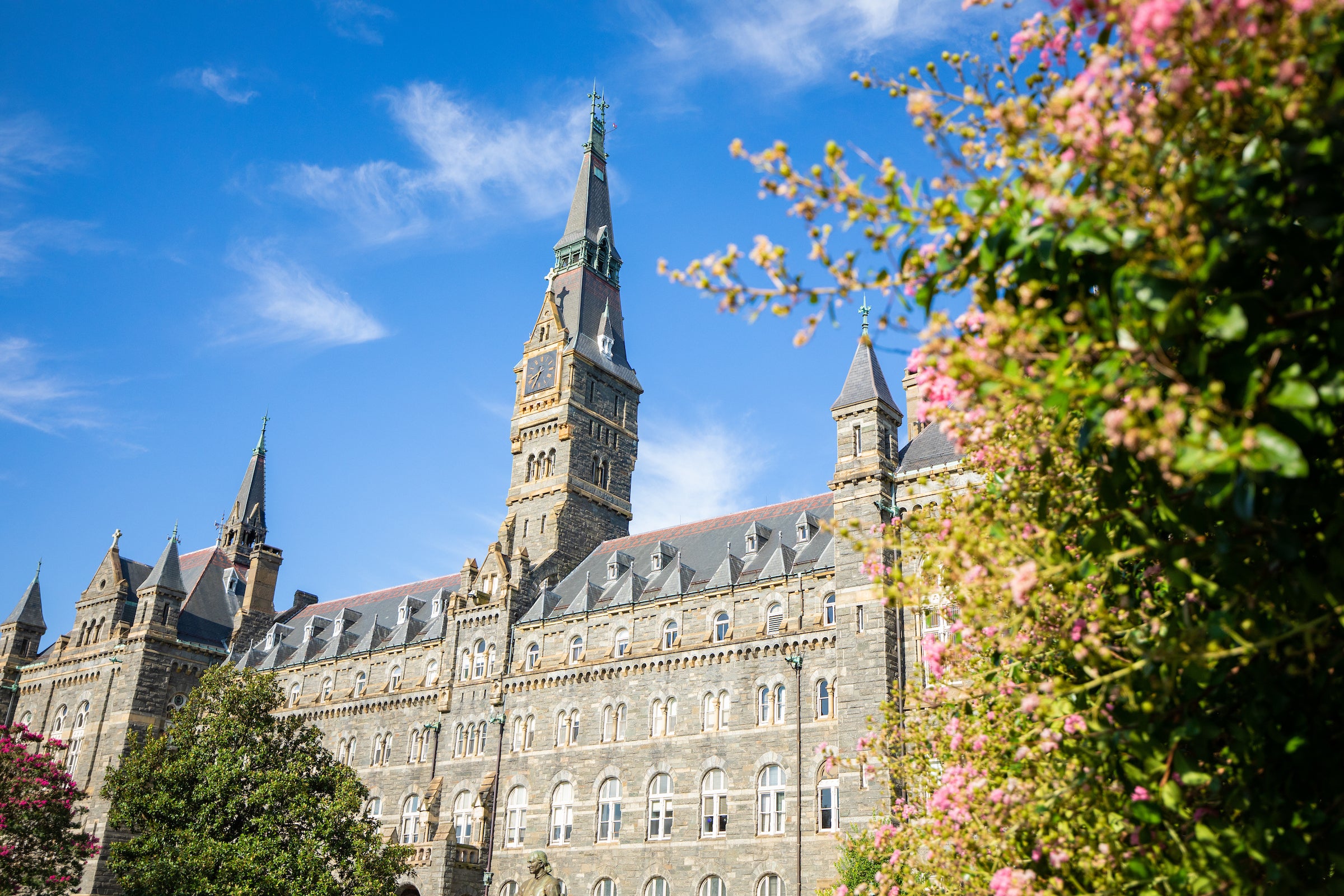 georgetown university healy mail hall with spring pink flowers and trees to the right