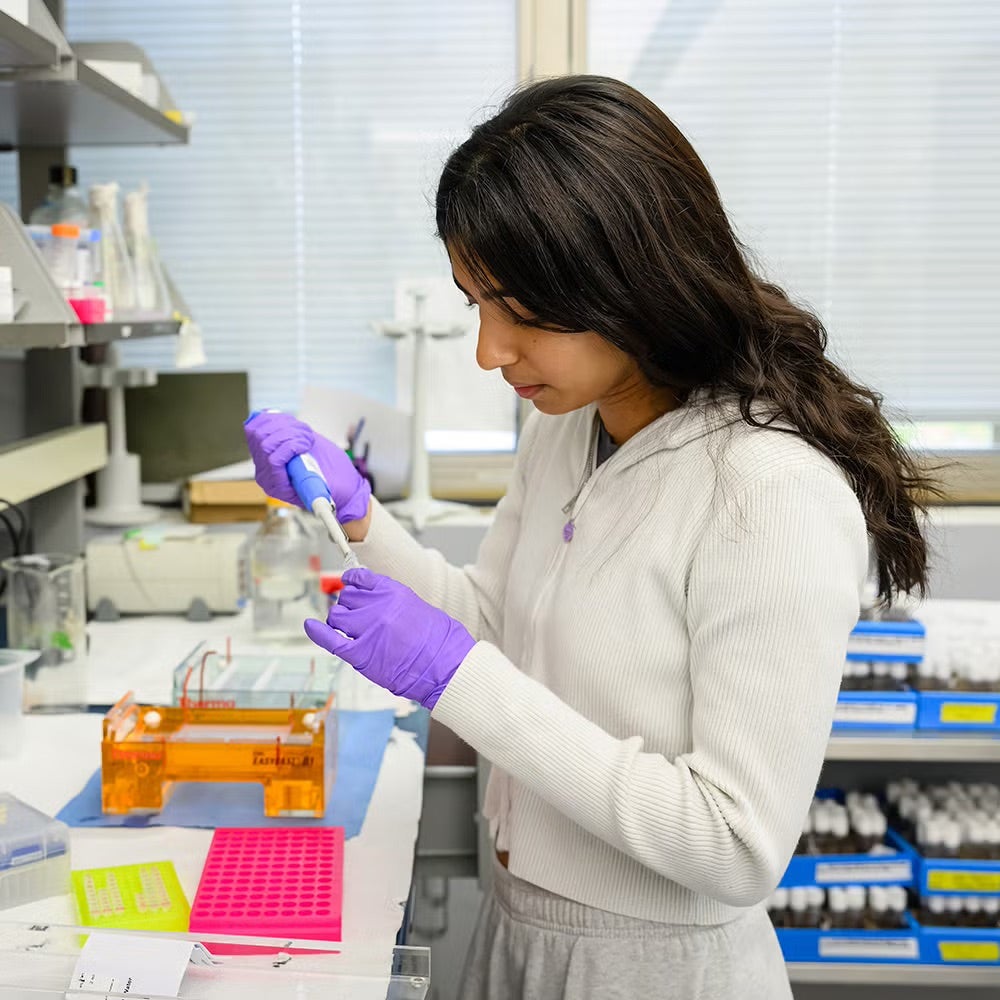 A student uses a pipette to transfer liquid into a test tube.