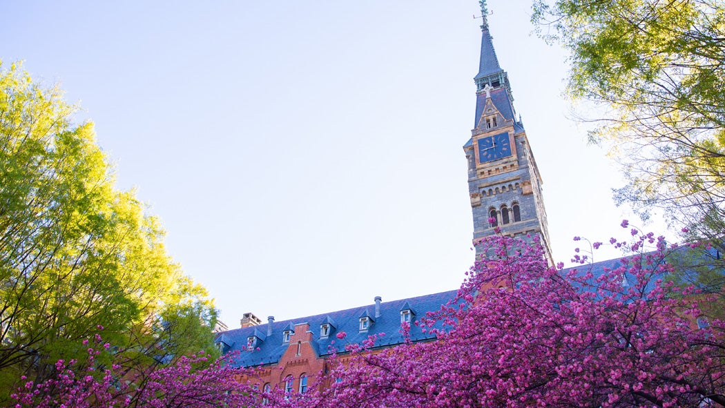 The clocktower of Healy Hall is visible above blooming pink trees.